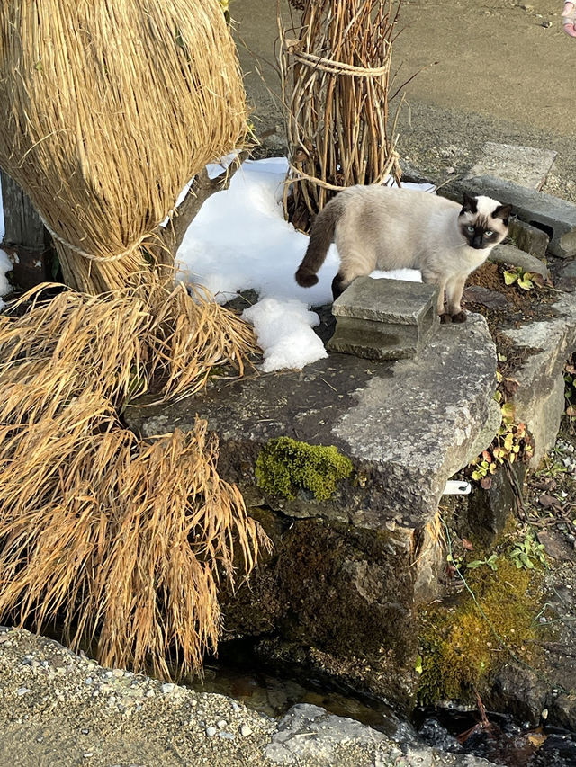 【日本福島】大內宿🏠｜體驗江戶時代的茅草屋建築