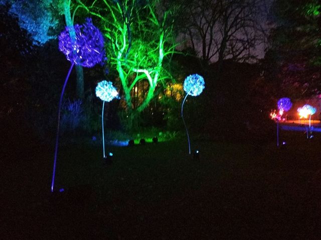 🎆Lightscape Part 1🎆