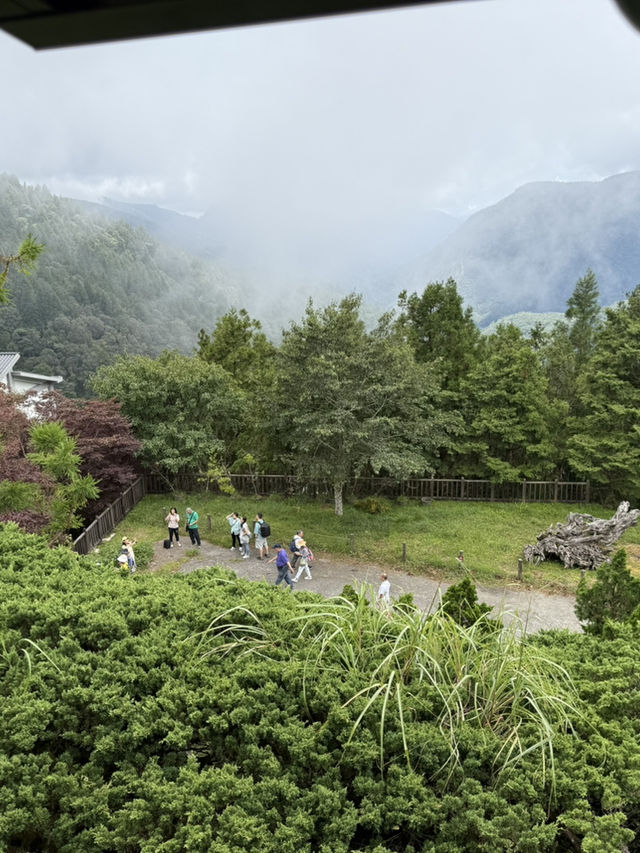 太平山森林遊樂區