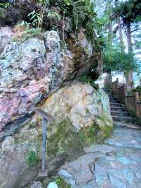 Panoramic Charm at Mines View Park