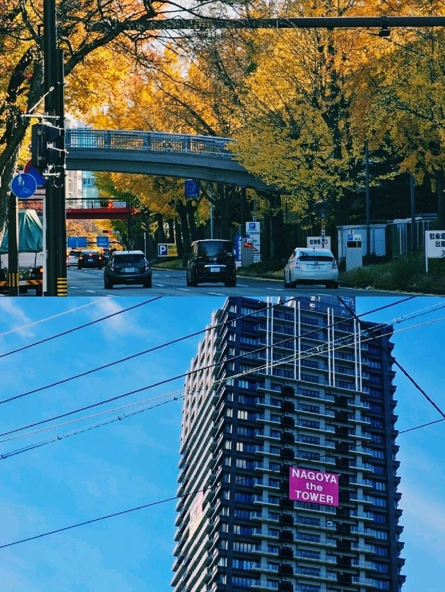 로스앤젤레스, 빛과 자유가 흐르는 도시 여행기