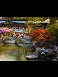 Suzhou Travel Review — Zen Vibes & Water Town Whispers