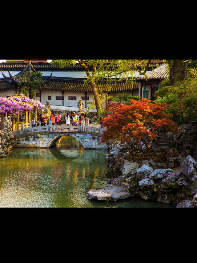 Suzhou Travel Review — Zen Vibes & Water Town Whispers