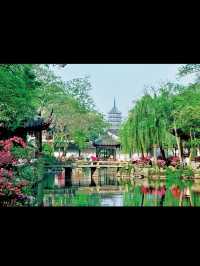 Suzhou Travel Review — Zen Vibes & Water Town Whispers