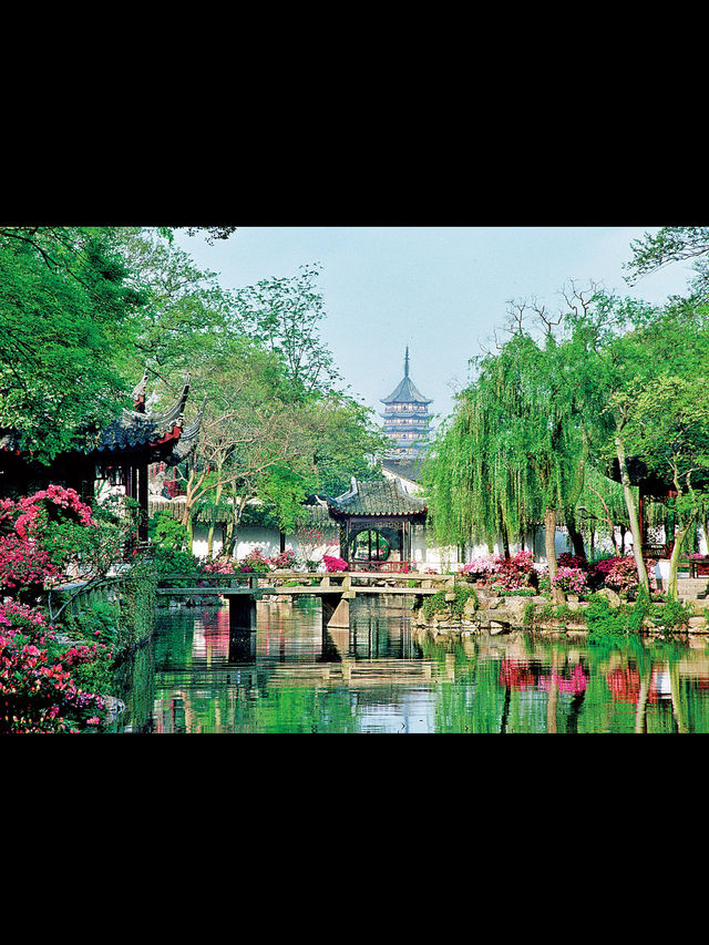 Suzhou Travel Review — Zen Vibes & Water Town Whispers