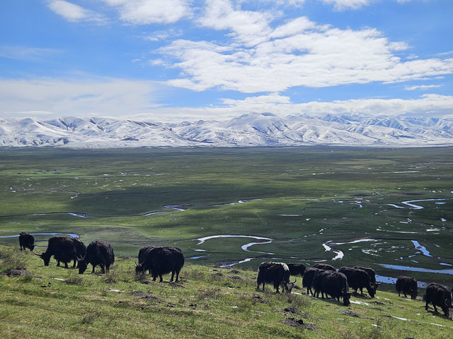🌿 Awanchang Wetland: The Green Pearl of Gannan