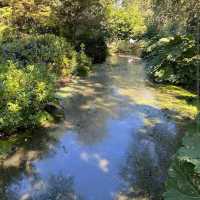 Winterbourne House & Garden