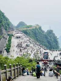⛰️ 天門山國家森林公園:天空之門的壯麗奇景