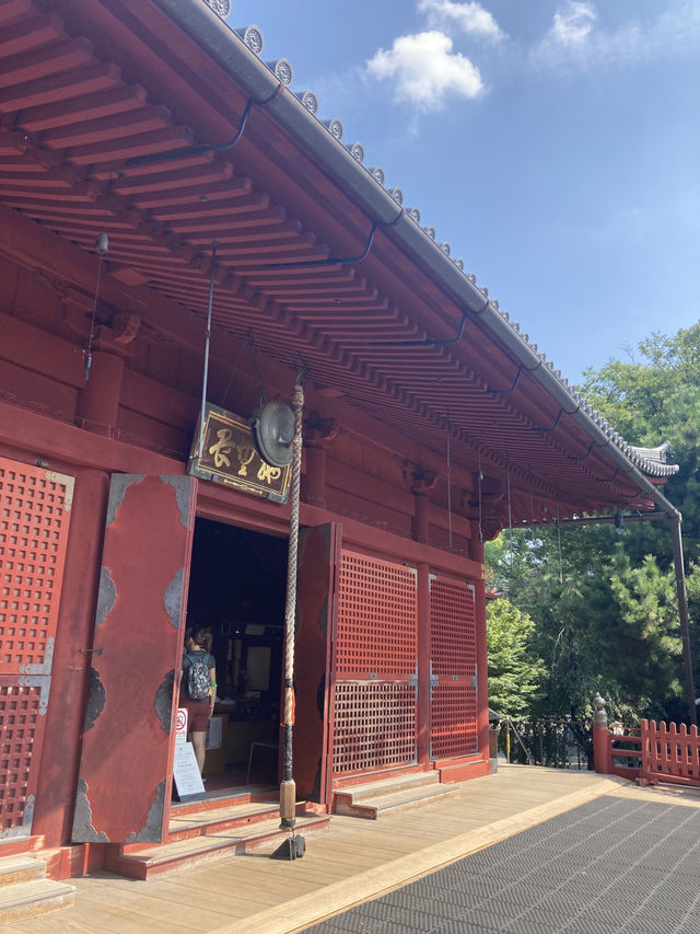 【東京・上野】東京観光では外せない!定番スポットの上野恩賜公園 【東京・上野】東京観光では外せない!定番スポットの上野恩賜公園