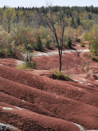 Cheltenham Badlands – Ontario’s Striking Red Hills