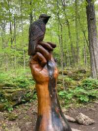 Crawford Lake Conservation Area – Nature and History Intertwined