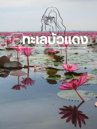 🪷Red Lotus Sea, Kumphawapi 📍Udon Thani Province