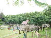 รีสอร์ทแห่งวังน้ำเขียว เวลาเวียน มีมินิซู ด้วยนะ