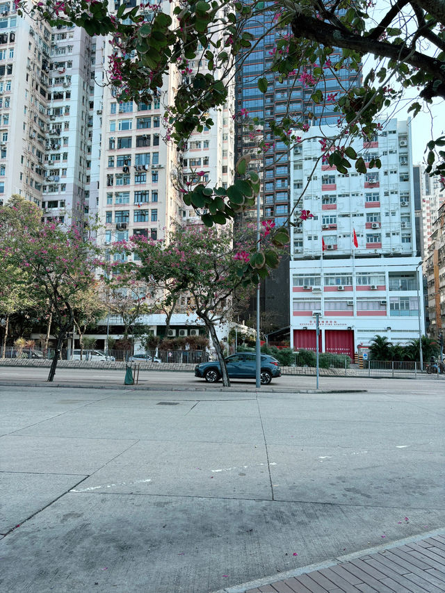 เดินเล่นถ่ายรูปที่ Kennedy Waterfront