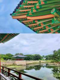 🌙낭만과 고즈넉함이 공존하는 경주 명소 탐방🌿