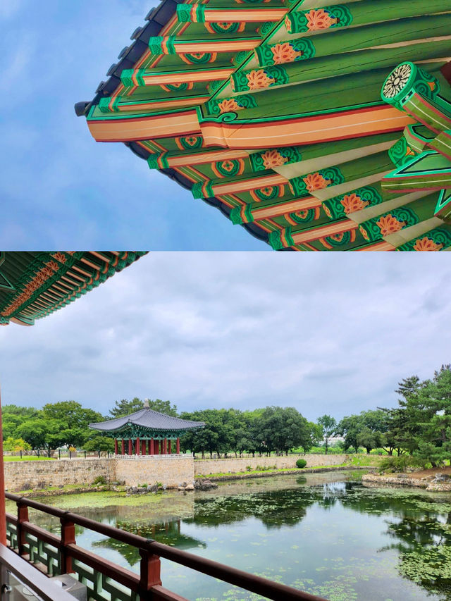 🌙낭만과 고즈넉함이 공존하는 경주 명소 탐방🌿