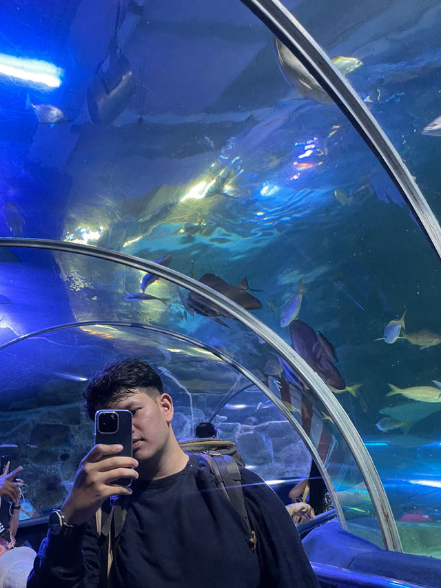  🇲🇾🏙️KL Day Out เดินเล่นชมตึก + อควาเรียมใหญ่อลั