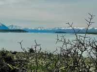 Charmed by the Beauty of Lake Tekapo in Canterbury