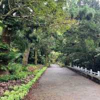 🌸⛰️ Yangming Park – The Heart of Yangmingshan 🌳✨