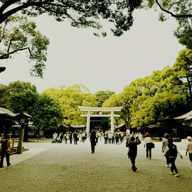 Meiji Shrine