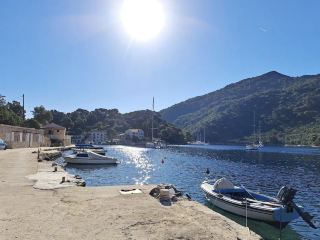 เอ็มแอลเจ็ต