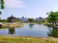 Pondside Wonder🌿,  