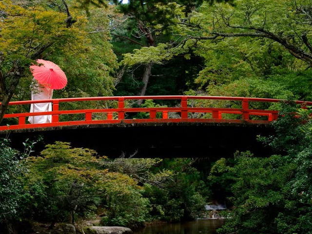 🍁✨ Miyajima – Momijidani Park & Itsukushima Shrine ✨⛩️