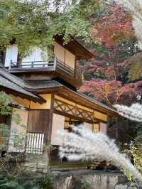 横浜にいながら古都の風情を感じられます！