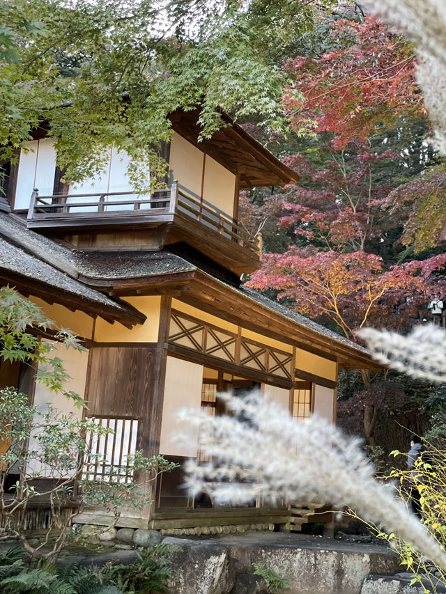 横浜にいながら古都の風情を感じられます！