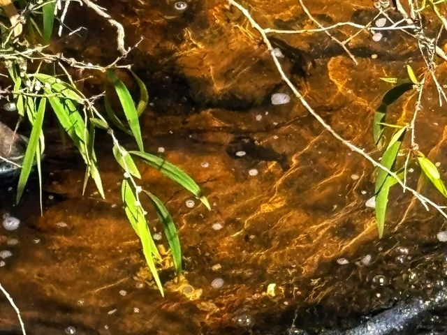 🌿 Discover Margaret River – Western Australia’s Hidden Gem 🌿 Discover Margaret River – Western Australia’s Hidden Gem