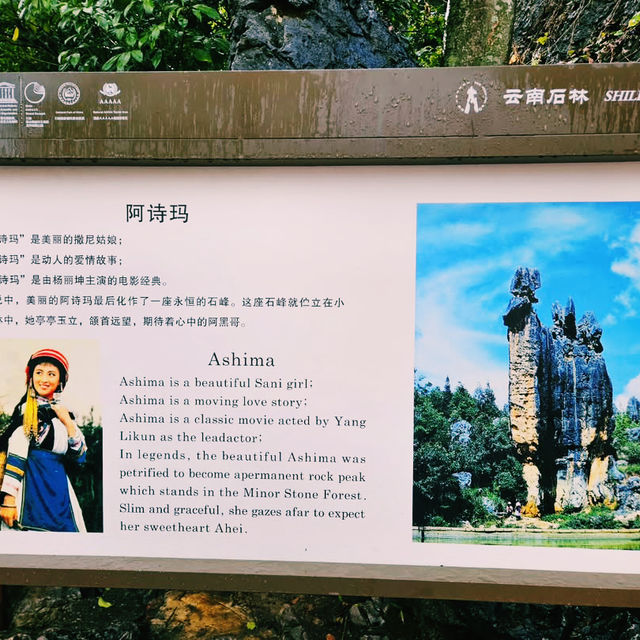 Nature’s Sculpture: Shilin Stone Forest