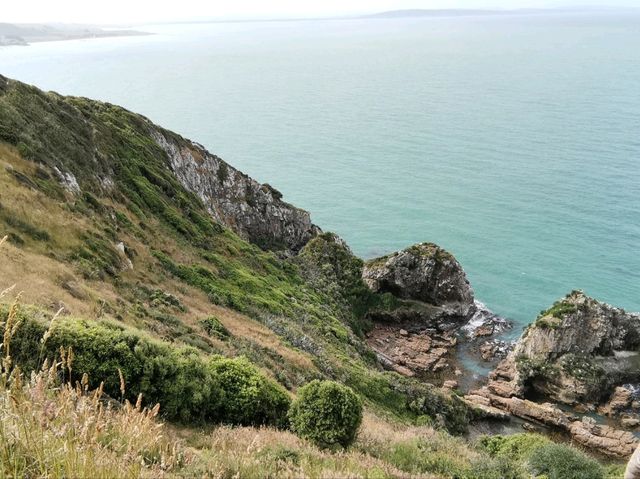 🇳🇿 New Zealand Road Trip - เล่าเรื่องด้วยภาพ#11