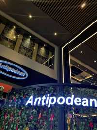 Kiwi Cafe Culture with Global Reach at Antipodean
