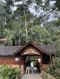 Curug Lembah Tepus - Pamijahan Bogor
