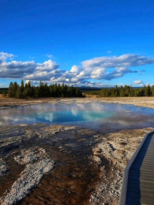 🌋 Yellowstone National Park – The Wild Heart of America