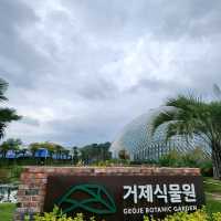 🪩南韓第二外島的玻璃巨蛋植物園&風之熱狗