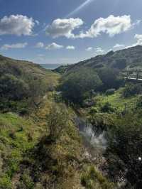 【オーストラリア・南オーストラリア】海と地質の不思議を体感「Hallett Cove Boardwalk」🌊🪨