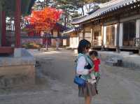 은행잎이 노랗게 물든 영주선비촌🍂가을 산책
