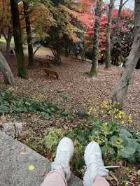 🍁 자산공원 가을 여행 🍁