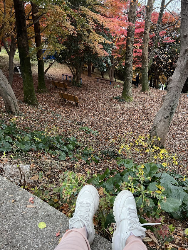  🍁 자산공원 가을 여행 🍁