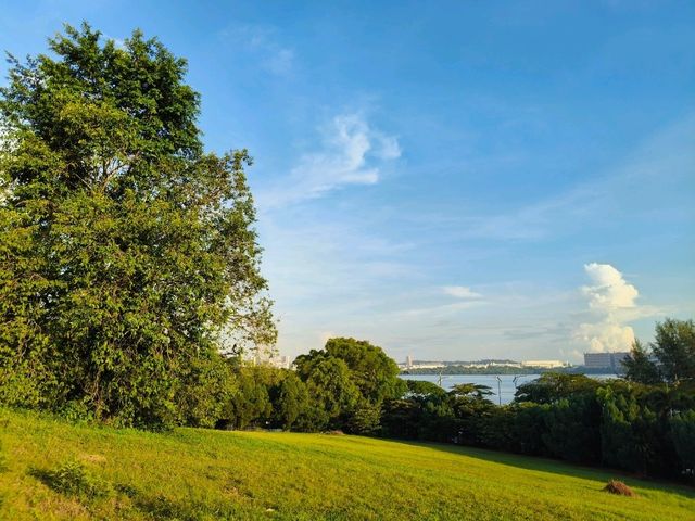 Discover Mosque Serenity 🌲Historic Johor Views✨
