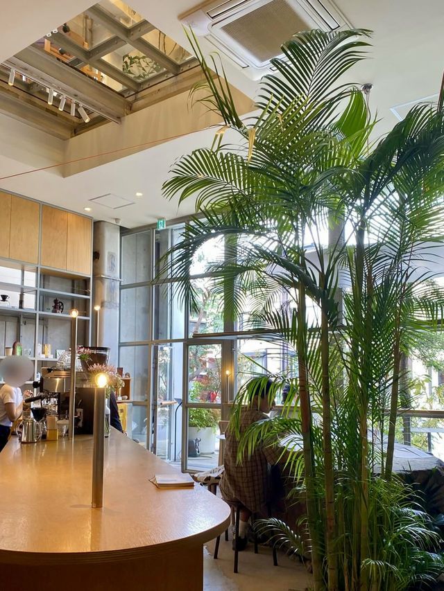 🌱 Hidden Gem in Nakameguro: SANU NOWHERE