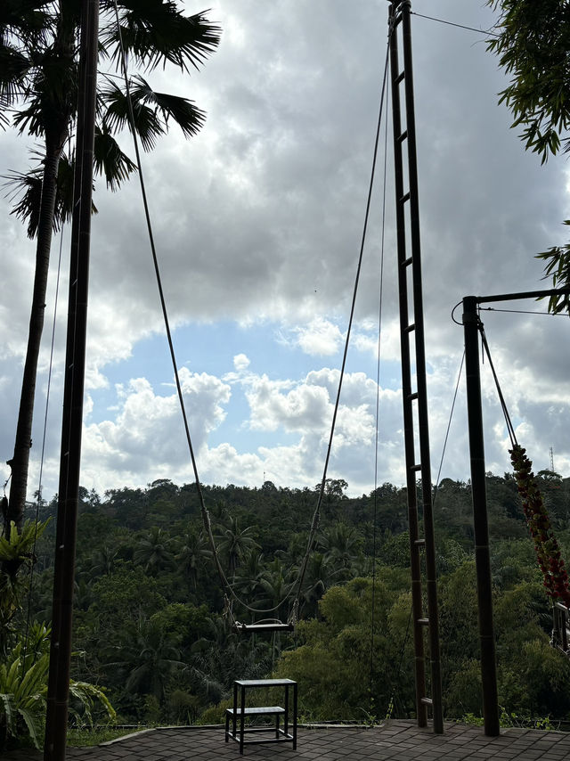 MUST TO TRY SWING IN BALI