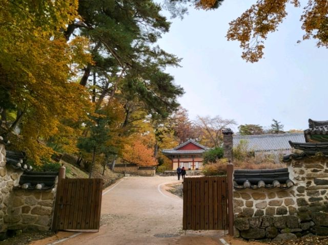 고즈넉한 사찰에서 단풍도 보고 국보도 보는 가을 여행 🧡