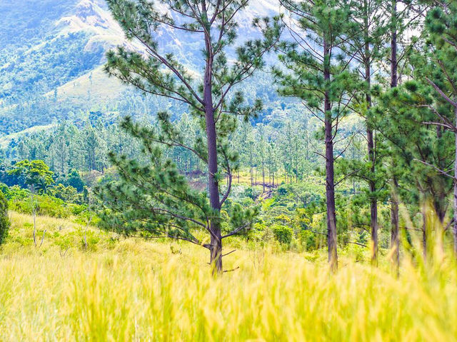 Koroyanitu National Heritage Park