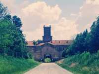 Solo in the Royal Hunting Grounds: La Mandria Park, Venaria