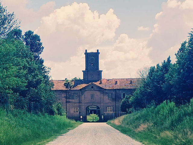 Solo in the Royal Hunting Grounds: La Mandria Park, Venaria