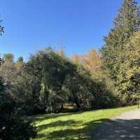 Washington Park Arboretum