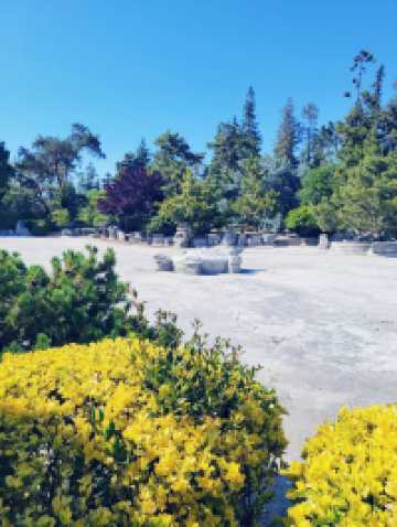 The Soloist's Urban Oasis: Japanese Friendship Garden of San Jose