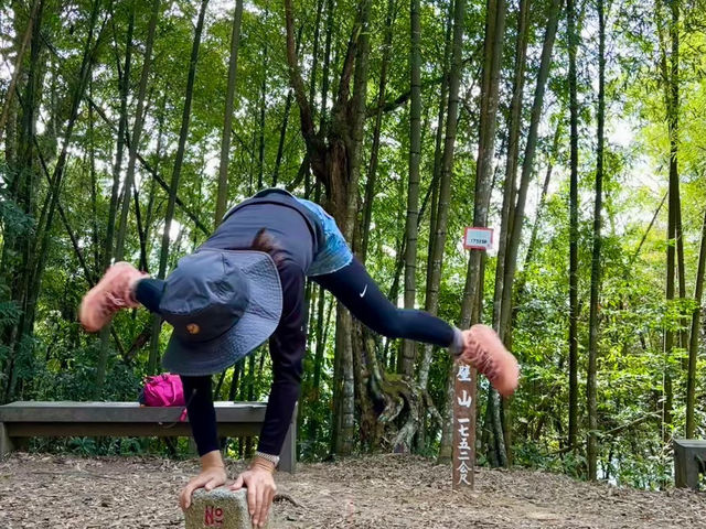 櫻花竹林秘境．石壁山壯麗之旅
